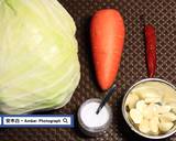 台式泡菜食譜步驟1照片