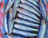Foto del paso 6 de la receta Sardinas al horno con verduras asadas en los mismos jugos