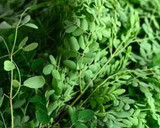 முருங்கைக் கீரை சாதம்(murungai keerai sadam recipe in tamil) ரெசிபி ஸ்டேப் 1 புகைப்படம்