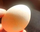 A picture of step 1 of Fried egg.