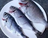Foto del paso 2 de la receta: Cazuela de pescado de aparejo con patatas y ajos tiernos