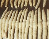 Foto del paso 12 de la receta: Medialunas de grasa y facturas