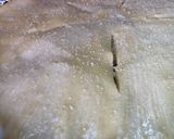 Foto del paso 10 de la receta: Pay de Manzana con el toque Sonorense