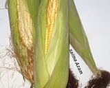 A picture of step 1 of Spicy lemon corn on the cob🌽اسپاٸسی لیمن کارن🌽.