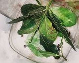 Foto del paso 1 de la receta: Coliflor tipo pickle