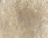 A picture of step 8 of Samosa.