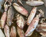 Foto langkah ke 5 dari resep Cumi hitam pedas.