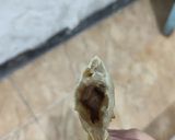 Foto langkah ke 15 dari resep Cireng isi kress tahan lama tidak gampang letoy.
