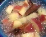 Foto del paso 2 de la receta: Malita de la panza???Manzana cocida con canela