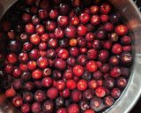 A picture of step 1 of Phalsa chutney.