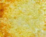 Foto langkah ke 8 dari resep Macaroni panggang keju.