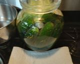 A picture of step 6 of Homemade Fermented Pickles with Saffron 2023.