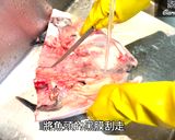 【剁椒蒸大魚頭】這道經典辣椒菜式食譜 喜歡吃辣的朋友 怎能錯過這個食譜呢!的食譜步驟1照片