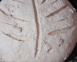 Foto del paso 3 de la receta: Pan de campo con panceta ahumada🧉
