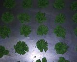 Foto langkah ke 3 dari resep Semprit Pandan (Tepung Kanji).