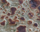 A picture of step 7 of Ricechapati#flourchallenge.
