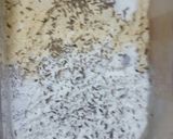 A picture of step 2 of Mackerel Fried Fish/Lahori Fish Fry 🐟🍤.
