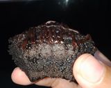 Foto langkah ke 7 dari resep Fudgy Brownies Tower.