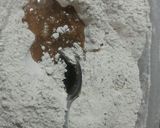 Foto del paso 2 de la receta: Pan de harina integral