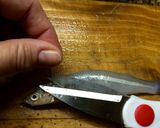 Foto del paso 3 de la receta: Técnicas de cocina: Limpiar el pescado