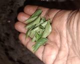 காளான் சுக்கா ரெசிபி ஸ்டேப் 1 புகைப்படம்