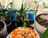 عکس مرحله 2 از دستور کیک جشن خودکار