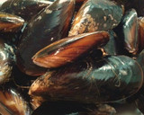 Foto del paso 2 de la receta: Musclada de la barceloneta