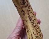 Foto del paso 1 de la receta: Muffins proteicos con banana exánime (fermentación alcohólica 😅), sin endulzar, sin harina, sin ⚖️