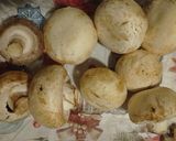 Rántott gomba 🍄 296 recept fázis 1 fotója
