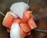 A picture of step 1 of Watermelon Crusher.