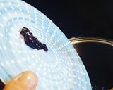 Foto del passaggio 5 della ricetta La Scrucchiata Abruzzese (confettura d'uva nera)