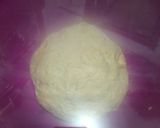 Foto langkah ke 3 dari resep Pizza no knead (tanpa ulen).