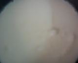 A picture of step 1 of Kesar Pistachios kulfi.
