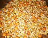 मिश्र कडधान्याची मोड काढलेली उसळ (mix sprout usal recipe in marathi) रेसिपी स्टेप 1 फोटो 