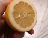 Une image de l'étape 3 de Tagliatelles fraîches à la crème d'avocat.