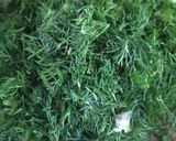 A picture of step 10 of Magiritsa with Chicken and Fresh Mushrooms.