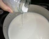 Foto del paso 2 de la receta: Yogurth natural sin azúcar casero