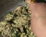 A picture of step 4 of Ragi Amaranths Methi Mini Thepla.