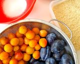 Une image de l'étape 1 de Tarte Bi-Goût Quetsches Mirabelles.