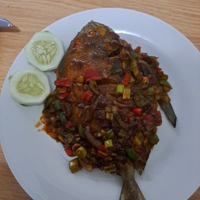 Langkah 8