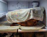 A picture of step 2 of Smoked Cow Head "Smoked Cabeza".