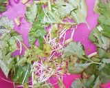 Foto langkah ke 1 dari resep Larb (Salad Ayam ala Laos).