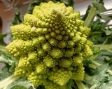 Une image de l'étape 3 de Gratin de chou romanesco au Cook Expert.
