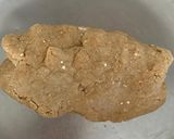 ઓટ્સ ભાખરી (Oats Bhakri Recipe In Gujarati) રેસીપી સ્ટેપ2ફોટો