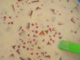 Mango Sago