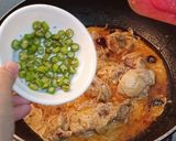 A picture of step 5 of Chicken Yogurt Curry.