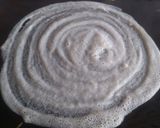 A picture of step 12 of Paper Dosa.