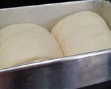 Foto langkah ke 7 dari resep Roti Tawar Lembut (Tanpa Ulen Tanpa Telur).