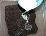 Foto langkah ke 1 dari resep Puding coklat oreo cake dengan vla.