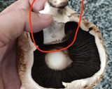 รูปขั้นตอนการทำที่ 1 ของ Stuffed Portobello Mushrooms (เห็ดยัดไส้เบคอนชีส)